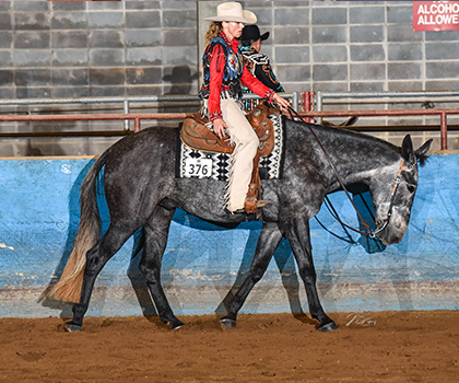 Fifty Shades Of Foxy