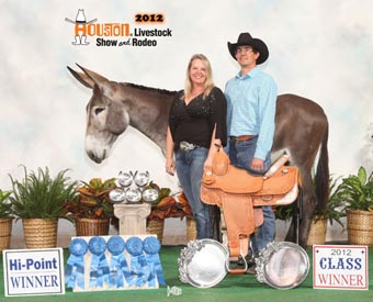 Ted Wins Grand Champion Donkey at the North American