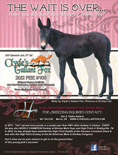 Mules & More Ad