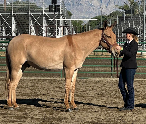 Fifty Shades Of Foxy